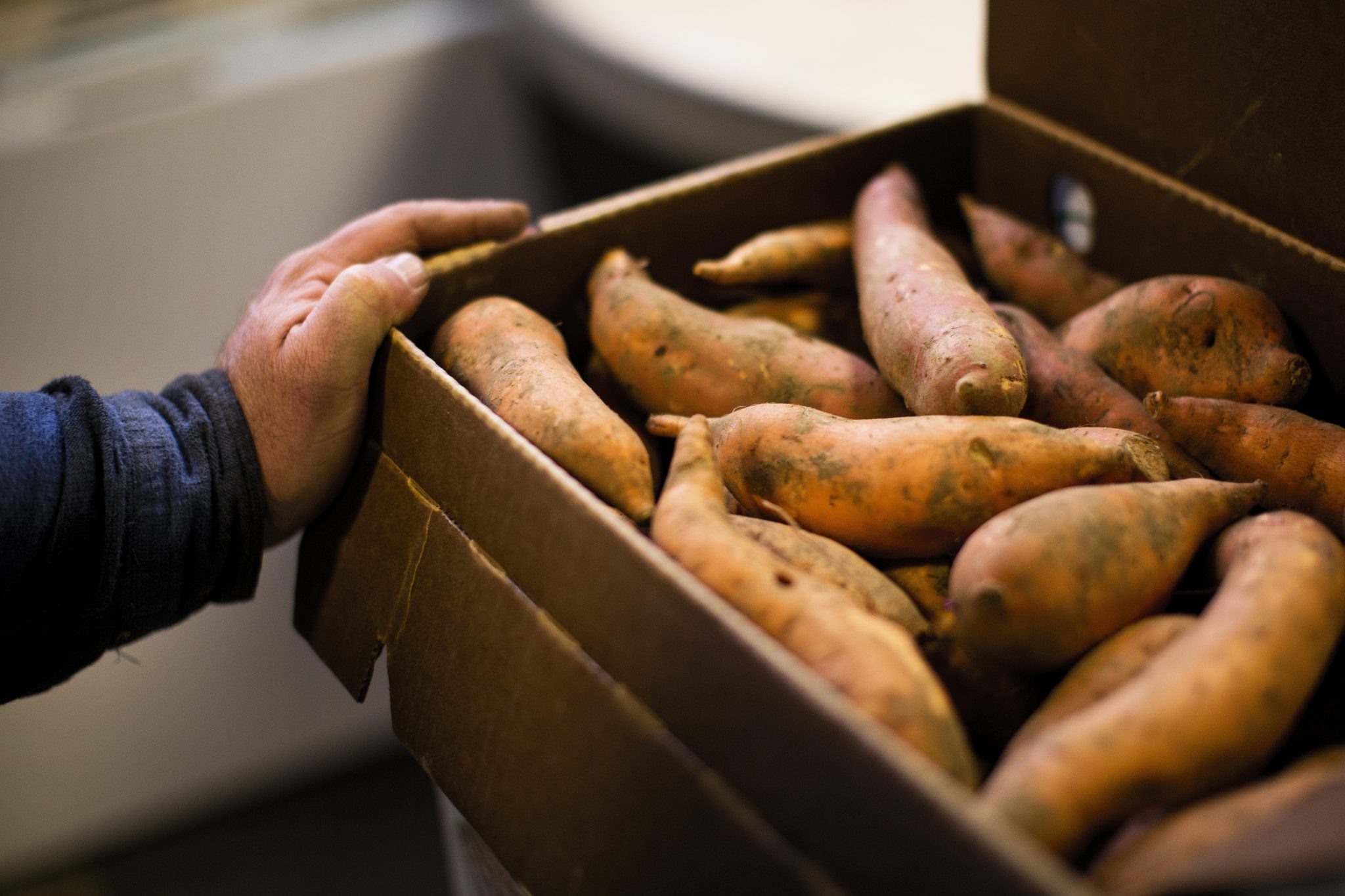 Storing Sweet Potatoes