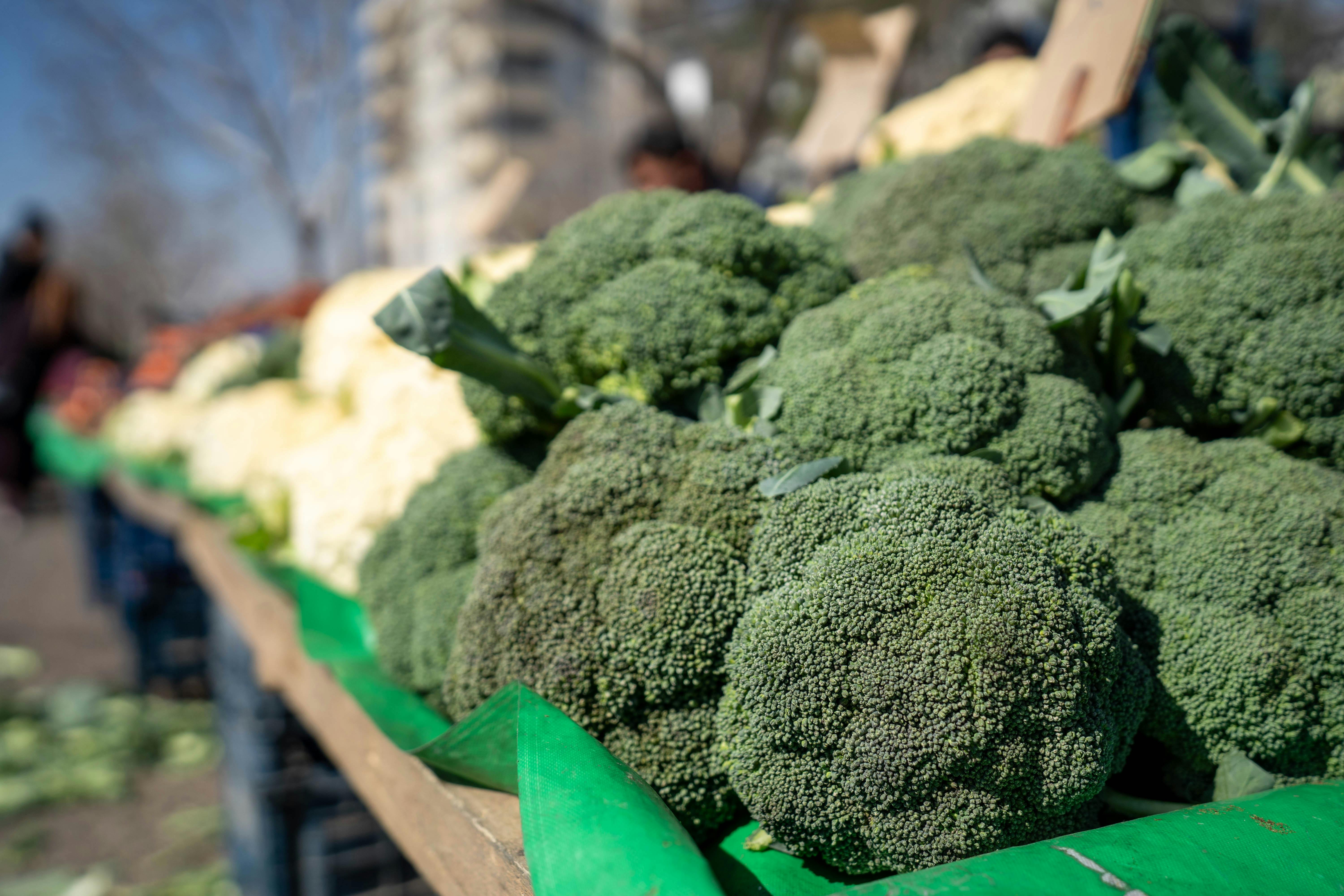 Oven Roasted Broccoli